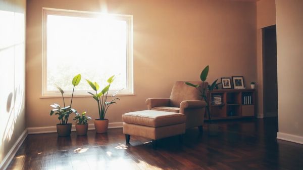 5 raisons convaincantes pour choisir la coloration végétale en salon